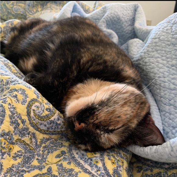 Meet your Posher, Emily - Picture 8 of 16